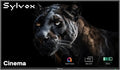 SYLVOX, TV'er, Outdoor TV, 55 'Mini LED QLED TV Outdoor, IP55 Vandtæt, Sort, 55 ', Mini LED, QLED, 55 V